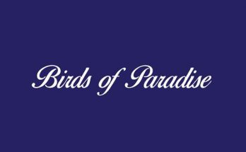 Birds of Paradise Font Family Free Download