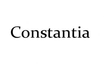 Constantia Font Family Free Download