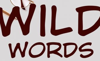 Wild Words Font Family Free Download