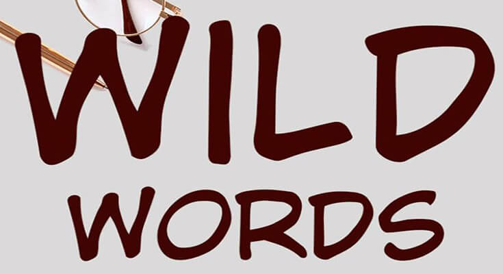 Wild Words Font Family Free Download