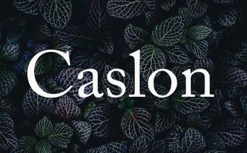 Caslon Font Family Free Download