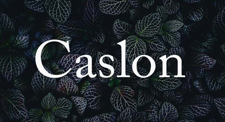 Caslon Font Family Free Download