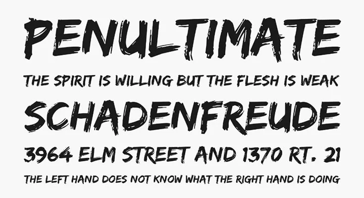 Edo Font Family Download