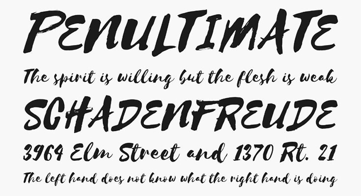 Selima Font Family Download