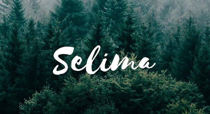 Selima Font Family Free Download