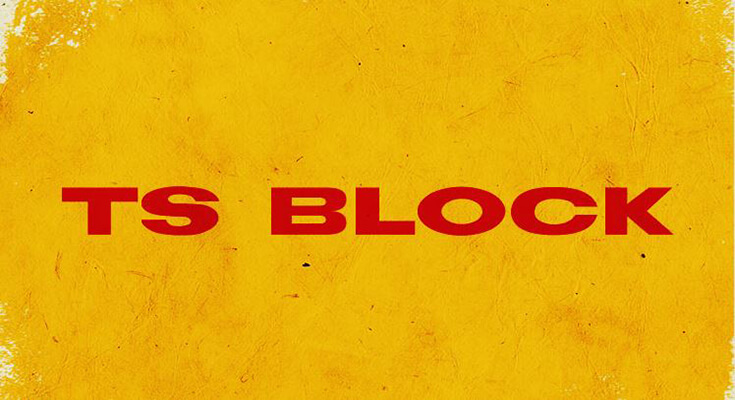 Ts Block Font Family Free Download