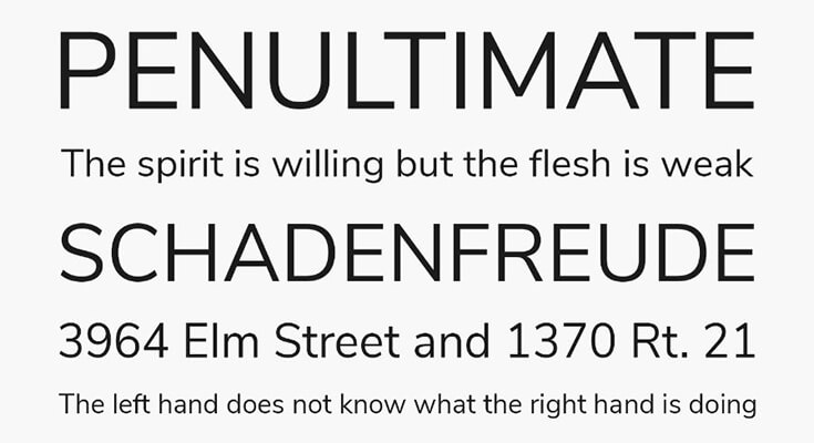 Nunito Sans Font Family Download