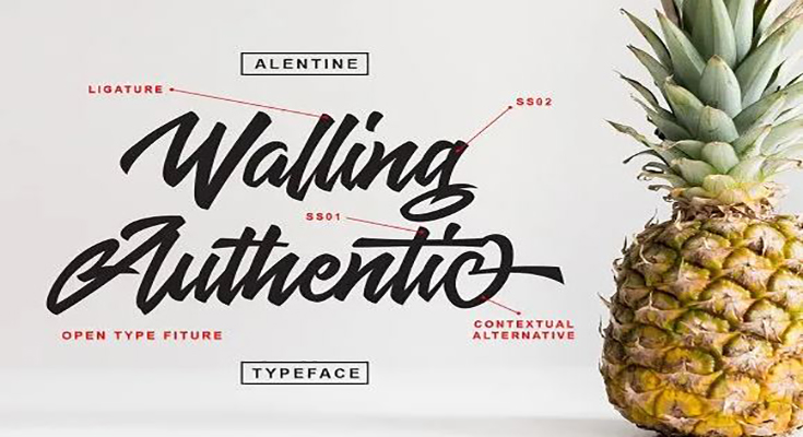 Alentine Script Font Free Download