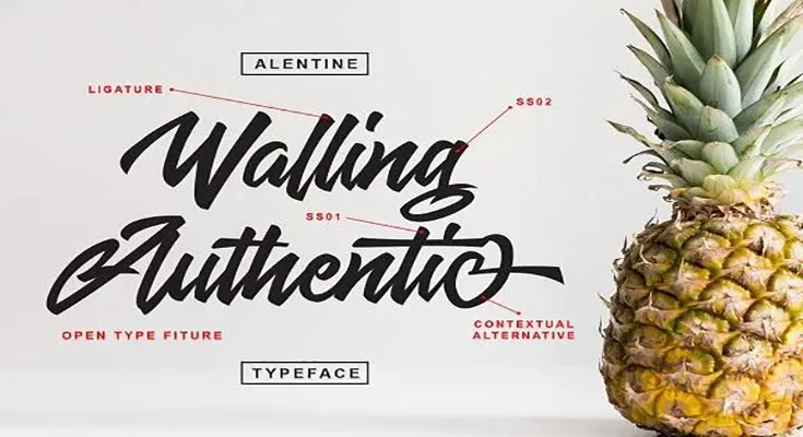 Alentine Script Font Free Download