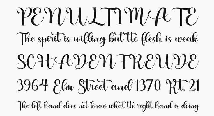 Babe Font Family Download
