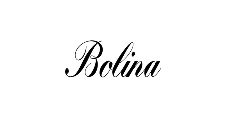 Bolina Font Family Free Download