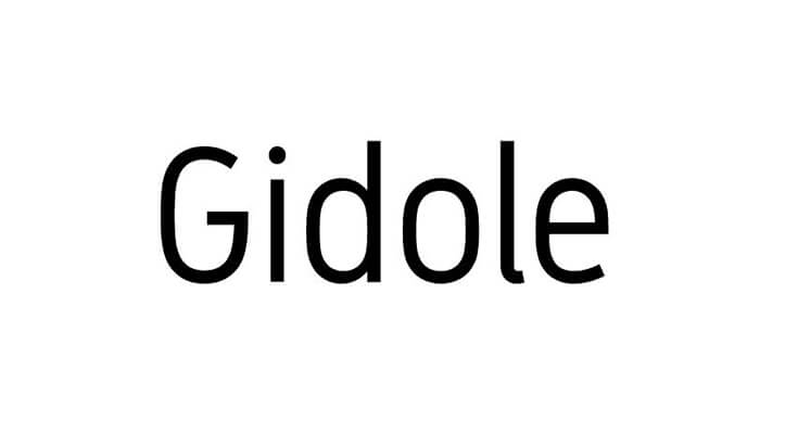 Gidole Font Family Free Download