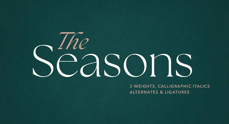 The Seasons Font Family Free Download