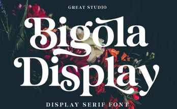 Bigola Display Font Family Free Download