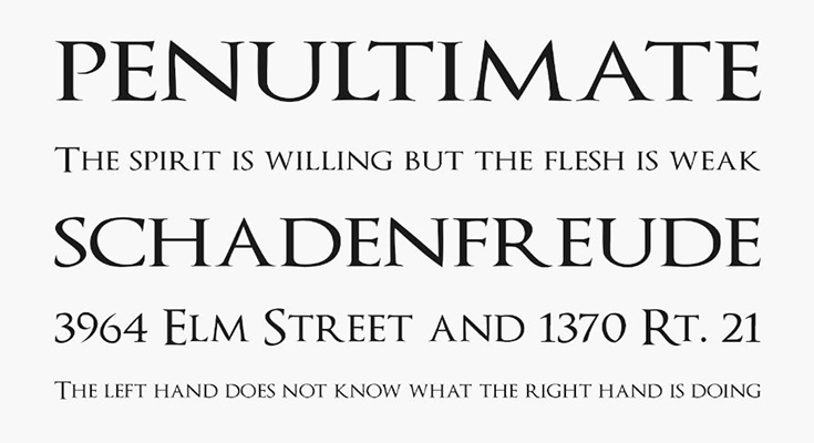 Optimus Princeps Font Family Download