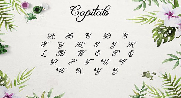 Olivia Script Font Family Download