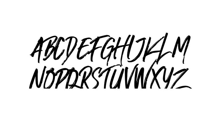 Nocturnal Font Family Download